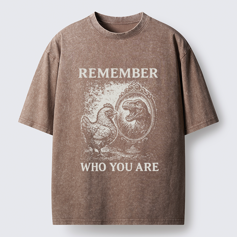 Tokyo-Lion Who You Are Chicken Meme Washed T-Shirt-Tokyo-Lion