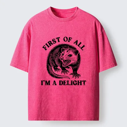 Tokyo-Lion Delight Possum Meme Washed T-Shirt