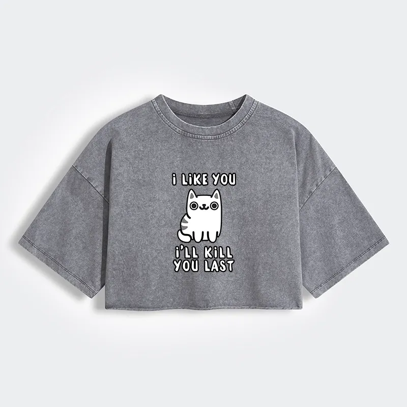 Tokyo-Lion Cats And Humans Have A Love-hate Relationship Women's Washed Crop T-Shirt