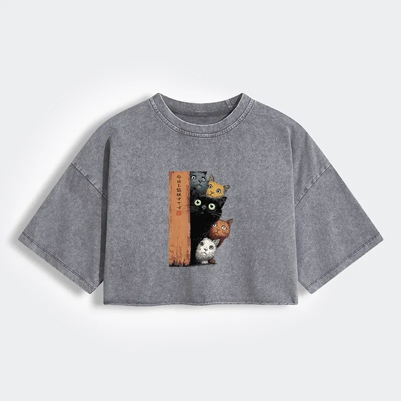 Tokyo-Lion Five Cats Are Watching You Women's Washed Crop T-Shirt