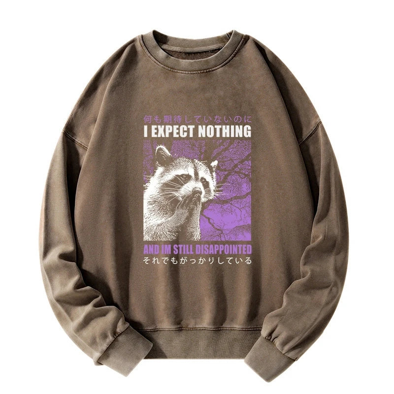 Tokyo-Lion Disappointed Raccoon Japanese Washed Sweatshirt-Tokyo-Lion
