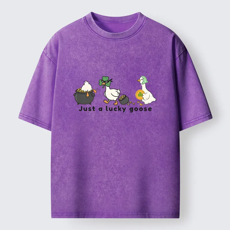 Tokyo-Lion Just A Lucky Goose Meme Washed T-Shirt