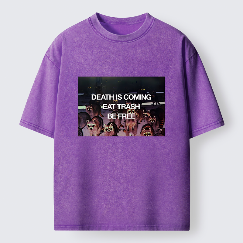 Tokyo-Lion Groups Of Raccoons Washed T-Shirt