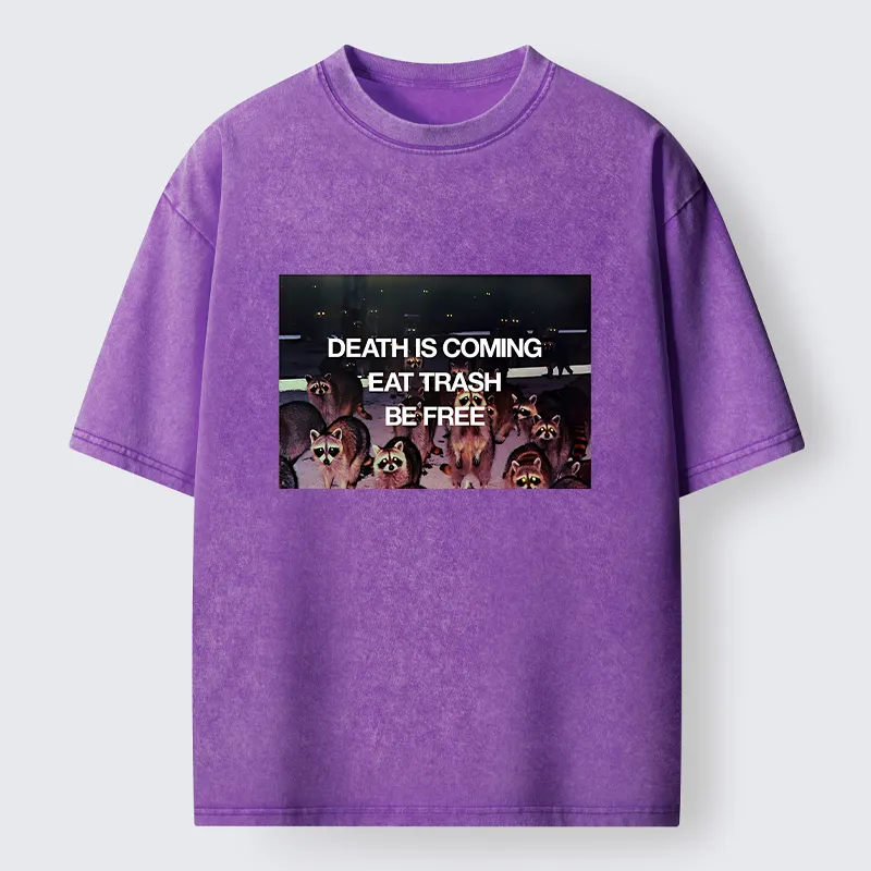 Tokyo-Lion Groups Of Raccoons Washed T-Shirt