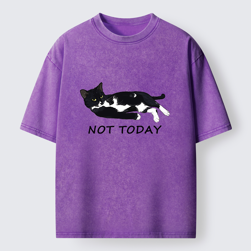 Tokyo-Lion Cat Said Not Today Washed T-Shirt