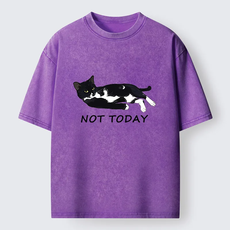 Tokyo-Lion Cat Said Not Today Washed T-Shirt