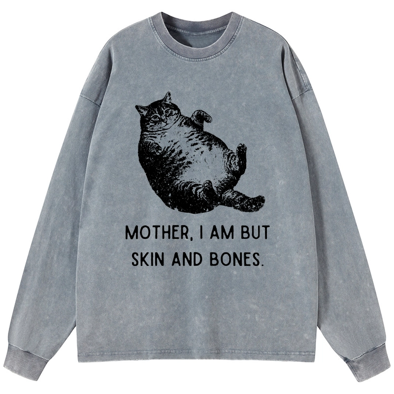 Tokyo-Lion Overweight Cat And Its Doting Owner Washed Long Sleeve T-Shirt