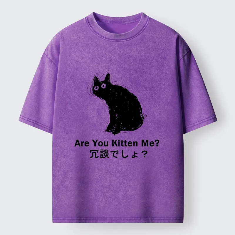 Tokyo-lion Are You Kitten Me Pun Art Washed T-Shirt-Tokyo-Lion