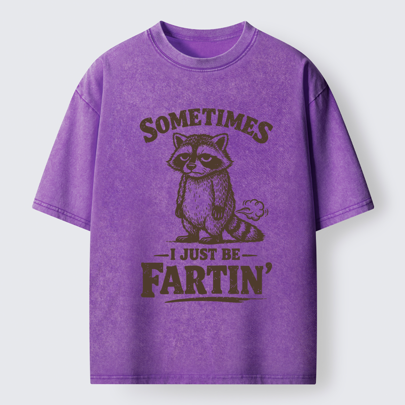 Tokyo-Lion Farting Raccoon Washed T-Shirt-Tokyo-Lion