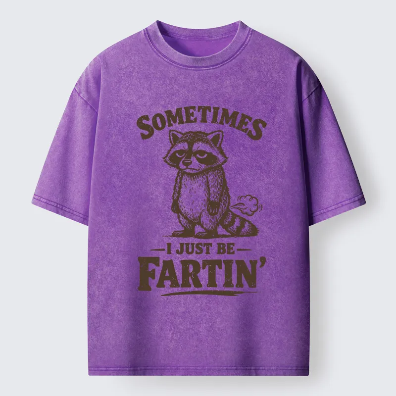 Tokyo-Lion Farting Raccoon Washed T-Shirt-Tokyo-Lion
