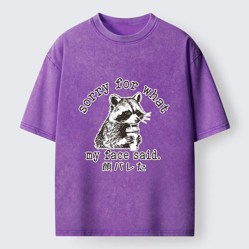 Tokyo-Lion Raccoon My Face Said Meme Washed T-Shirt-Tokyo-Lion