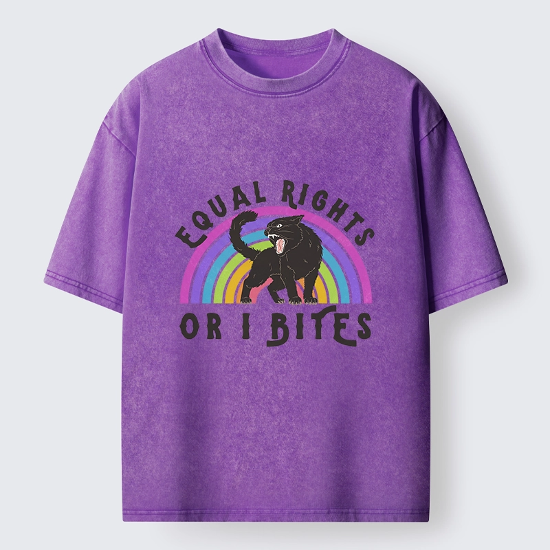 Tokyo-Lion Rainbow Panther Equal Rights Washed T-Shirt
