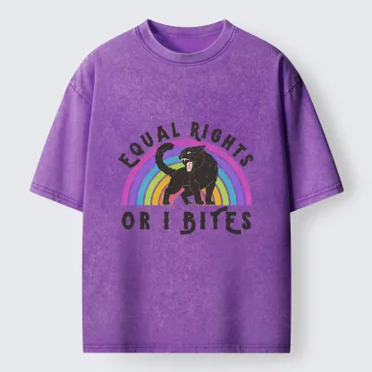Tokyo-Lion Rainbow Panther Equal Rights Washed T-Shirt