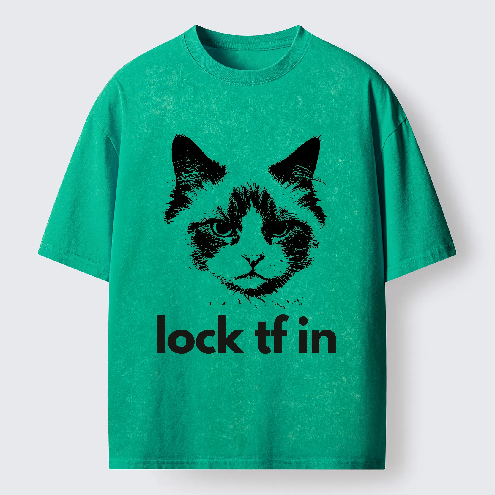 Tokyo-Lion Lock In Cat Washed T-Shirt