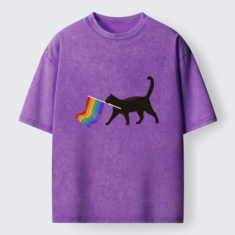 Tokyo-Lion Black Cat With Pride Flag Washed T-Shirt