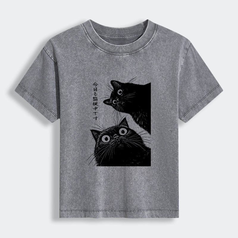 Tokyo-Lion The Cat Is Watching Today Women's Washed T-shirt