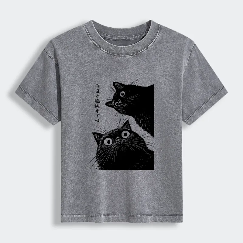 Tokyo-Lion The Cat Is Watching Today Women's Washed T-shirt