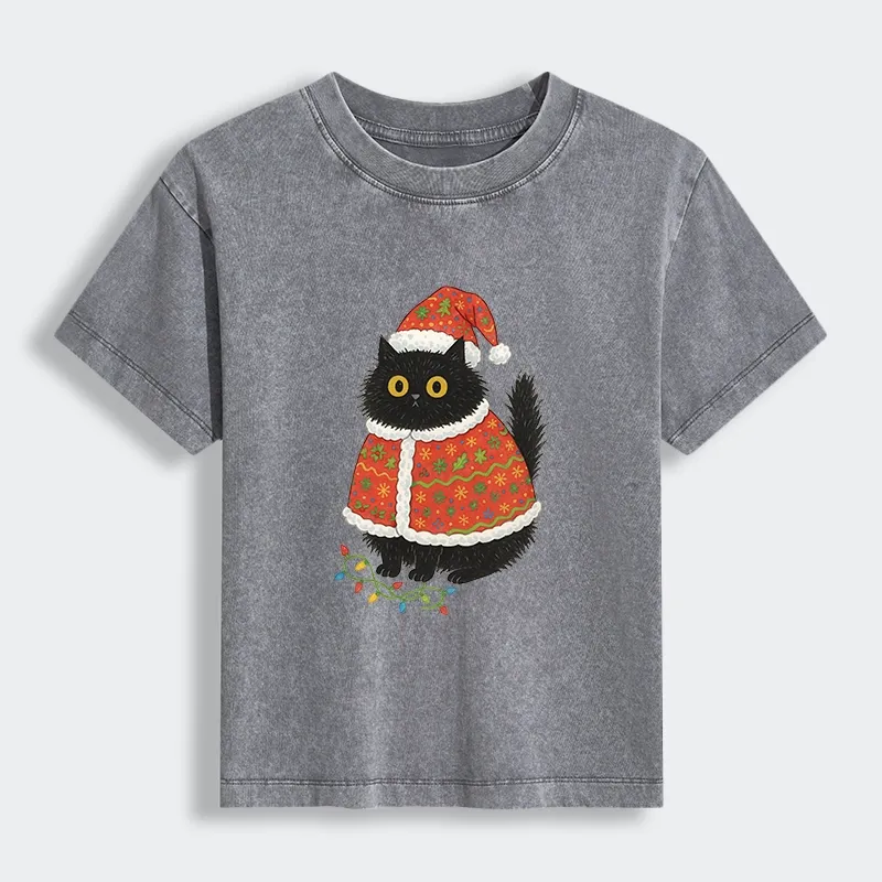 Tokyo-Lion Cat Wearing Santa Hat Women's Washed T-shirt