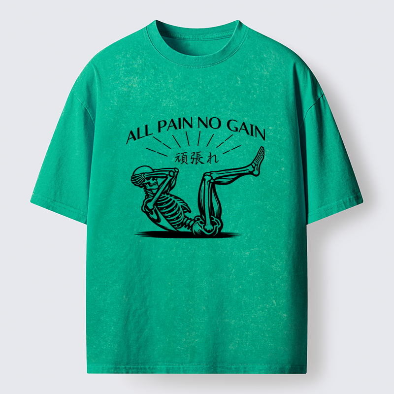 Tokyo-Lion Fitness Pain Washed T-Shirt