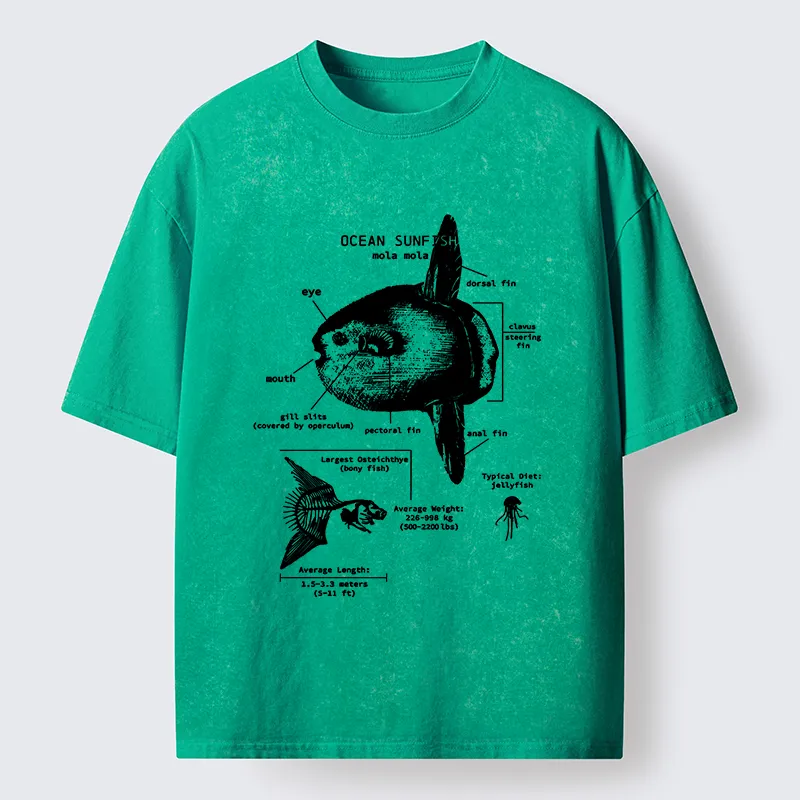 Tokyo-Lion Sunfish Funny Washed T-Shirt