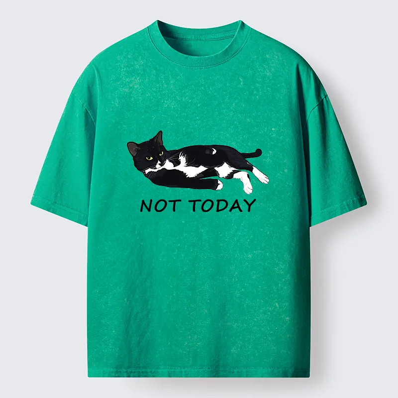 Tokyo-Lion Cat Said Not Today Washed T-Shirt