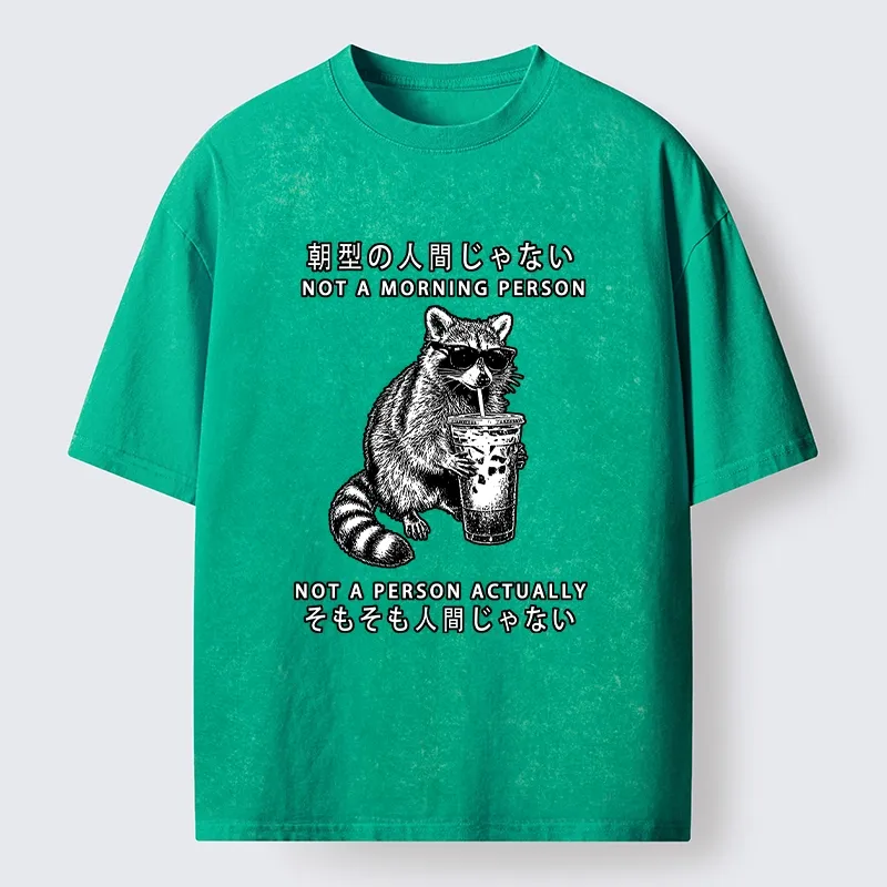 Tokyo-Lion Raccoon Rejecting Early Mornings Washed T-Shirt-Tokyo-Lion