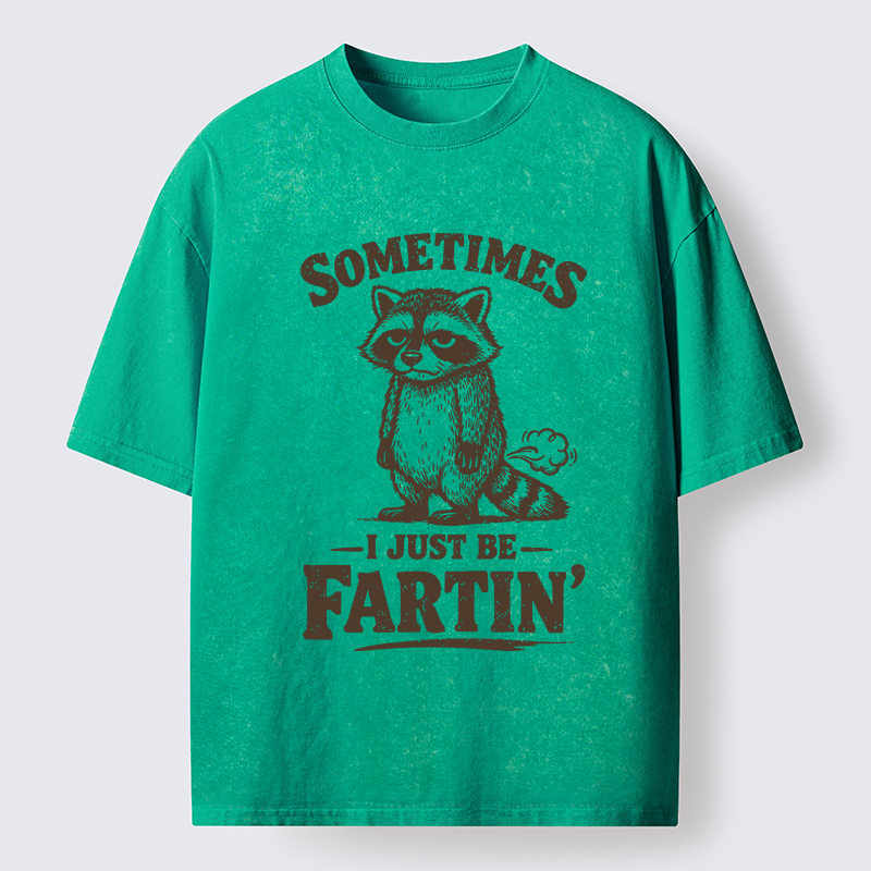 Tokyo-Lion Farting Raccoon Washed T-Shirt-Tokyo-Lion