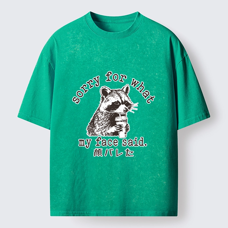 Tokyo-Lion Raccoon My Face Said Meme Washed T-Shirt-Tokyo-Lion