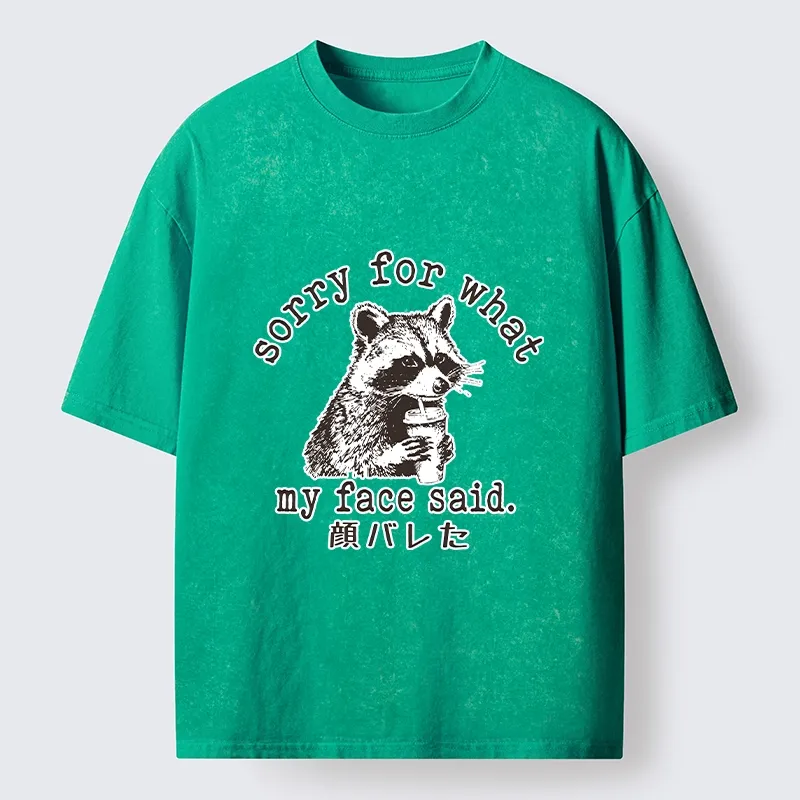 Tokyo-Lion Raccoon My Face Said Meme Washed T-Shirt-Tokyo-Lion