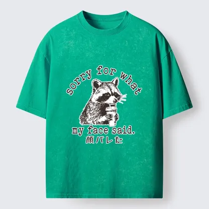 Tokyo-Lion Raccoon My Face Said Meme Washed T-Shirt-Tokyo-Lion