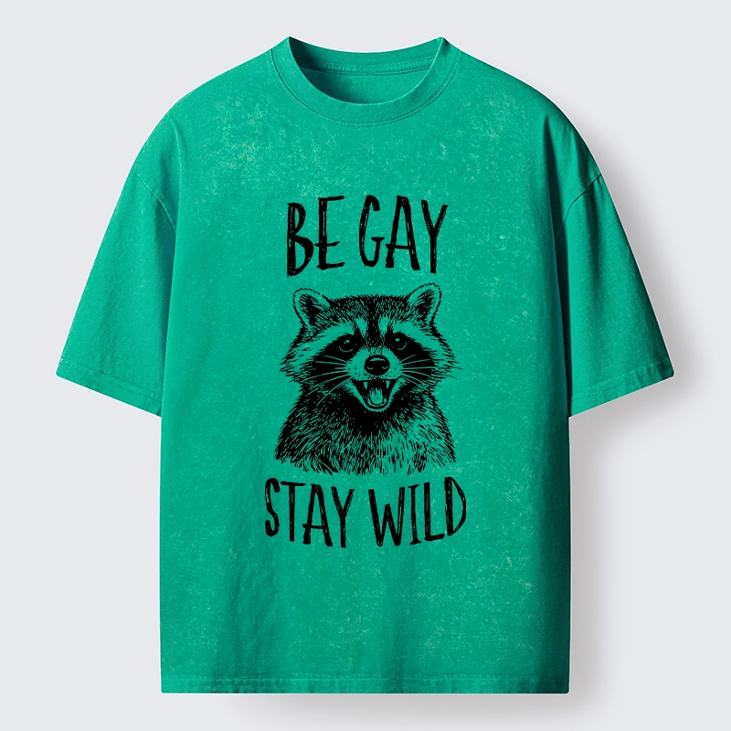 Tokyo-Lion Pride Raccoon Art Washed T-Shirt-Tokyo-Lion