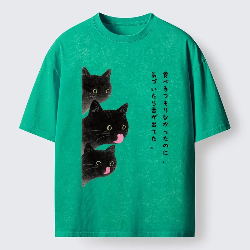Tokyo-Lion Cats Who Forgot They Stuck Tongues Out Washed T-Shirt