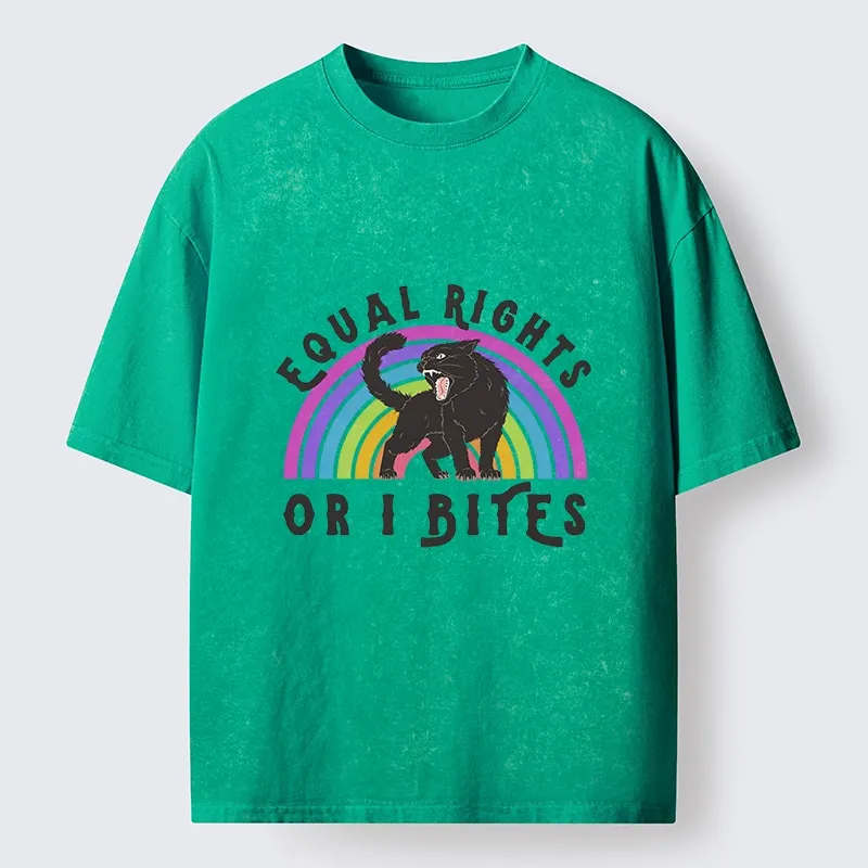Tokyo-Lion Rainbow Panther Equal Rights Washed T-Shirt