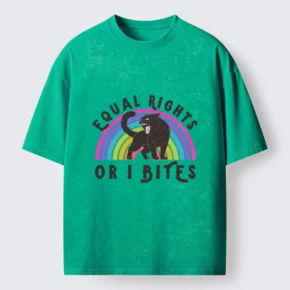 Tokyo-Lion Rainbow Panther Equal Rights Washed T-Shirt