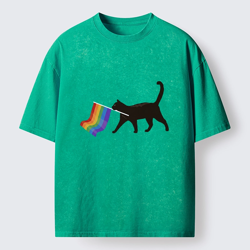 Tokyo-Lion Black Cat With Pride Flag Washed T-Shirt