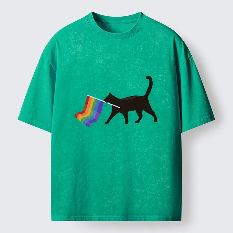 Tokyo-Lion Black Cat With Pride Flag Washed T-Shirt