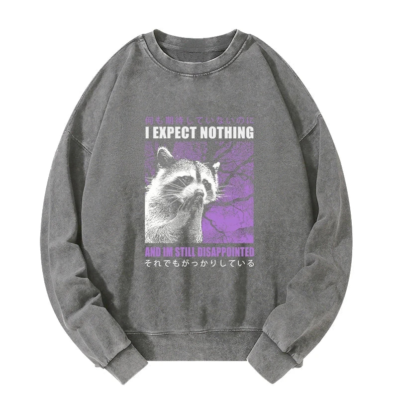 Tokyo-Lion Disappointed Raccoon Japanese Washed Sweatshirt-Tokyo-Lion