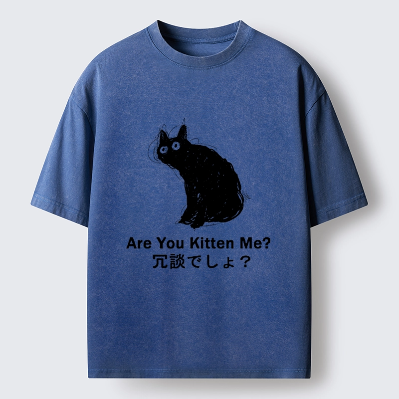 Tokyo-lion Are You Kitten Me Pun Art Washed T-Shirt-Tokyo-Lion