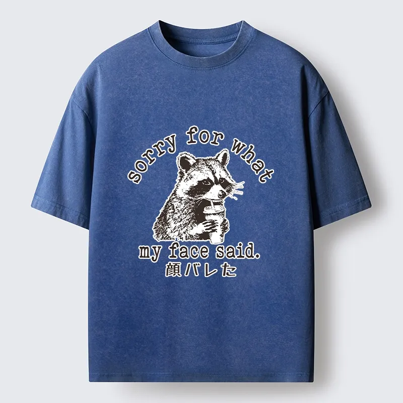 Tokyo-Lion Raccoon My Face Said Meme Washed T-Shirt-Tokyo-Lion