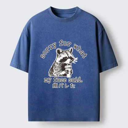 Tokyo-Lion Raccoon My Face Said Meme Washed T-Shirt-Tokyo-Lion