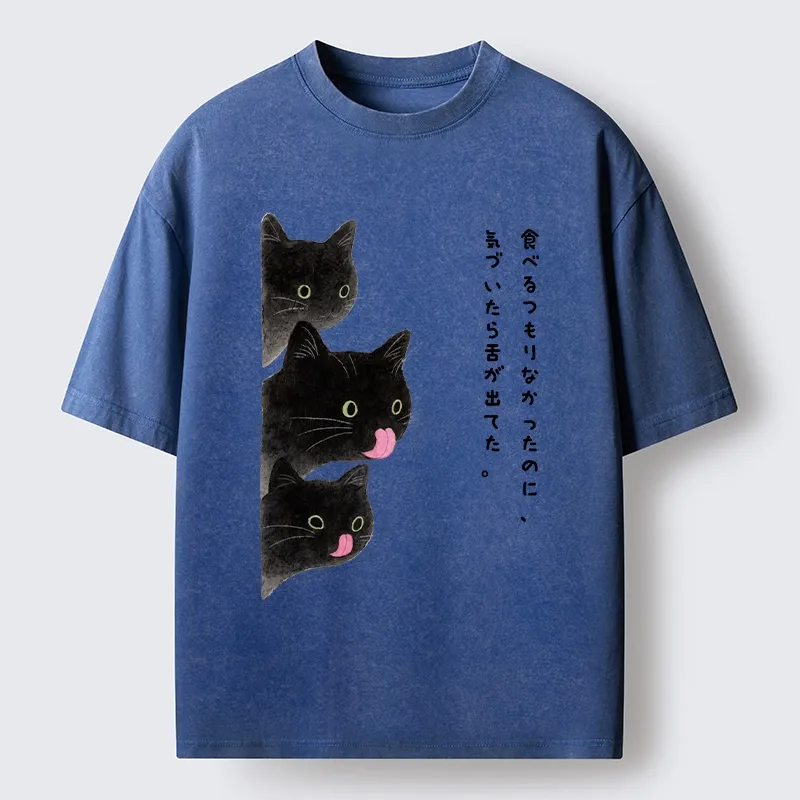 Tokyo-Lion Cats Who Forgot They Stuck Tongues Out Washed T-Shirt