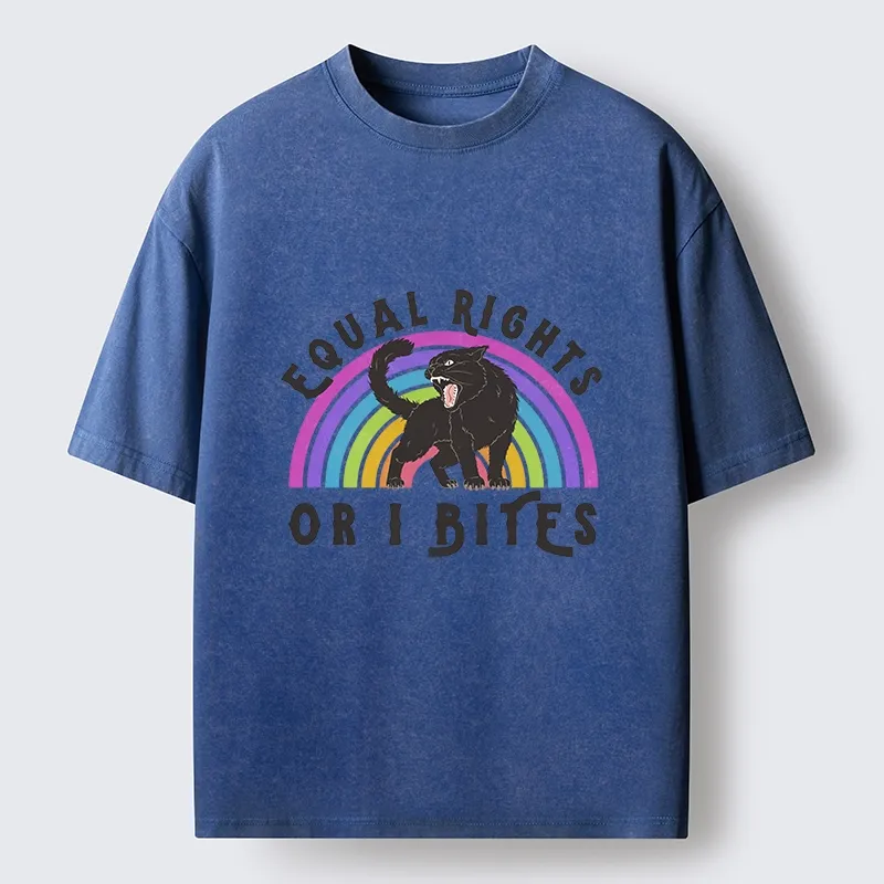 Tokyo-Lion Rainbow Panther Equal Rights Washed T-Shirt