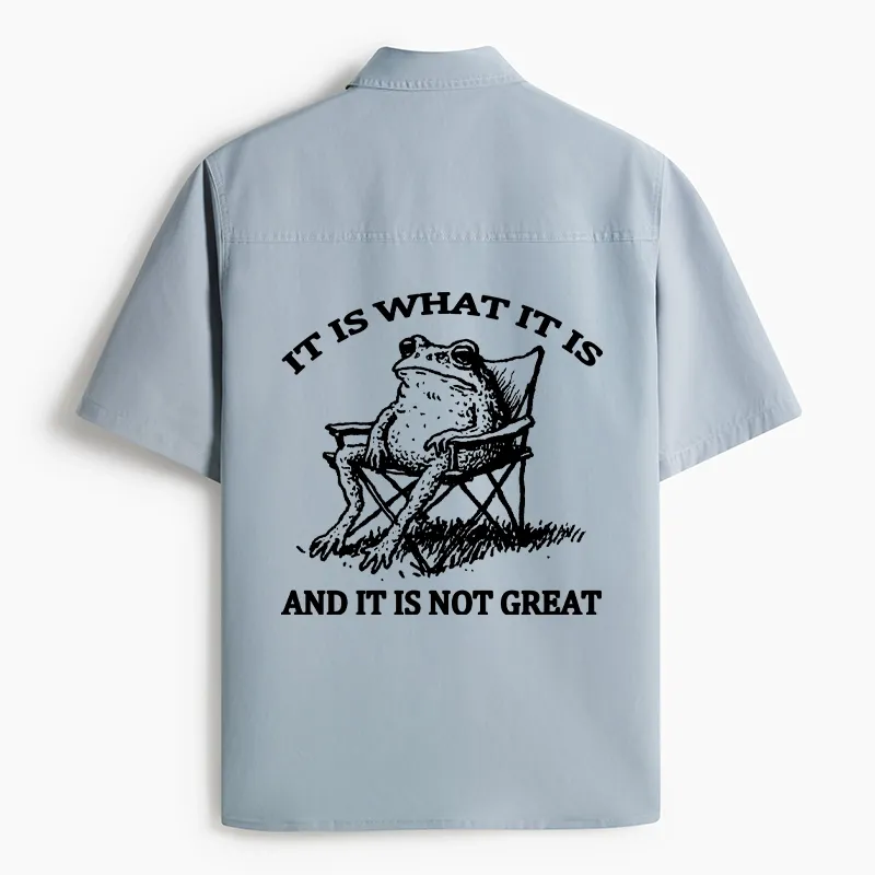 Tokyo-Lion Resting Frog Funny Work Shirt-Tokyo-Lion