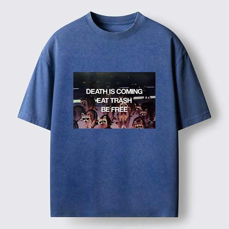 Tokyo-Lion Groups Of Raccoons Washed T-Shirt