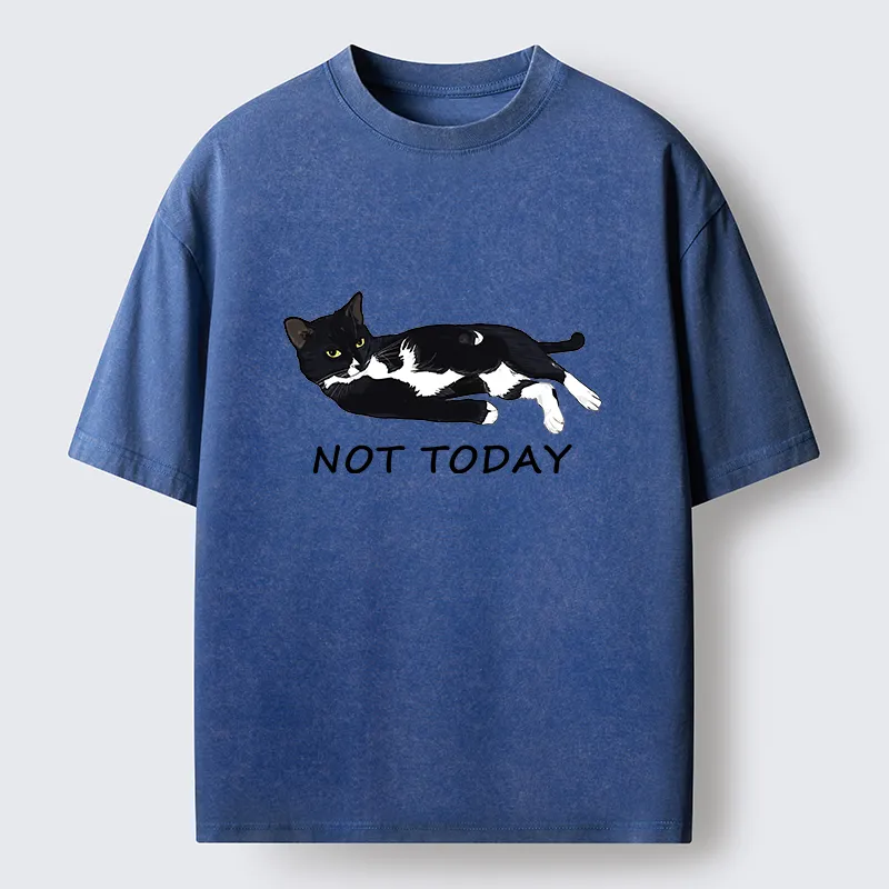 Tokyo-Lion Cat Said Not Today Washed T-Shirt