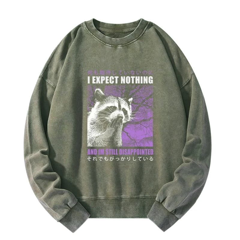 Tokyo-Lion Disappointed Raccoon Japanese Washed Sweatshirt-Tokyo-Lion
