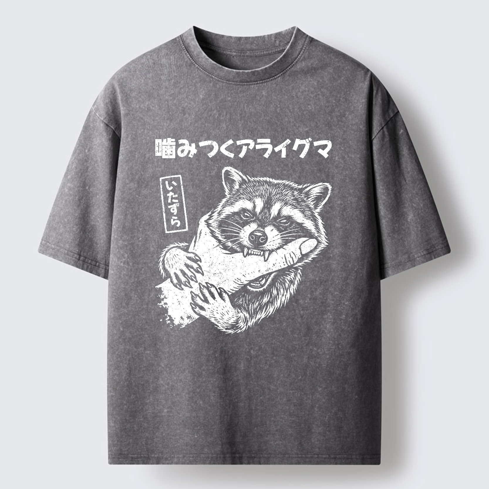 Tokyo-Lion Mischief Raccoon Washed T-Shirt