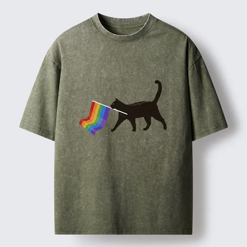 Tokyo-Lion Black Cat With Pride Flag Washed T-Shirt
