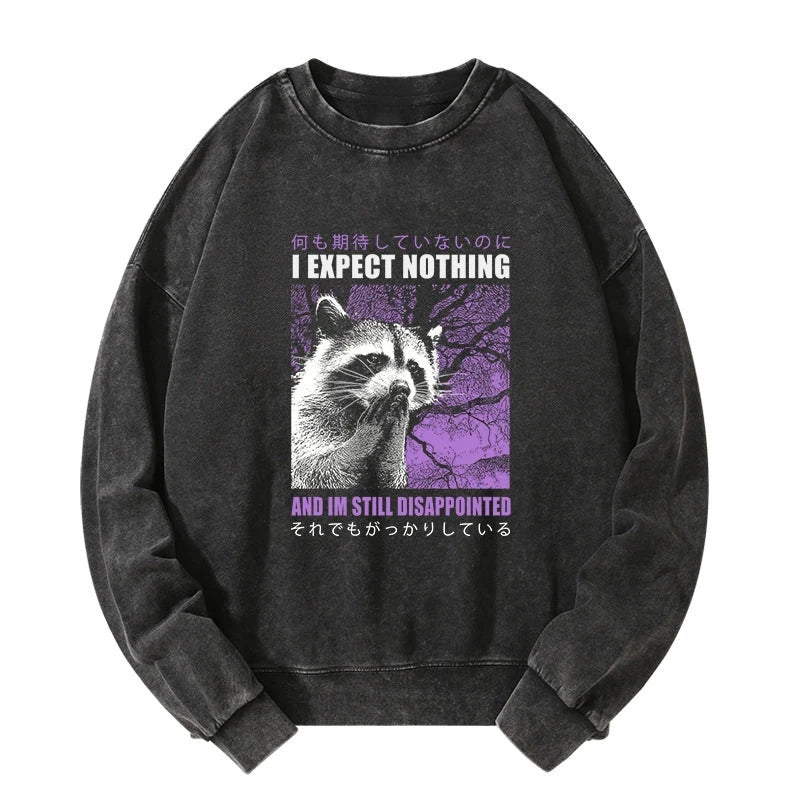 Tokyo-Lion Disappointed Raccoon Japanese Washed Sweatshirt-Tokyo-Lion