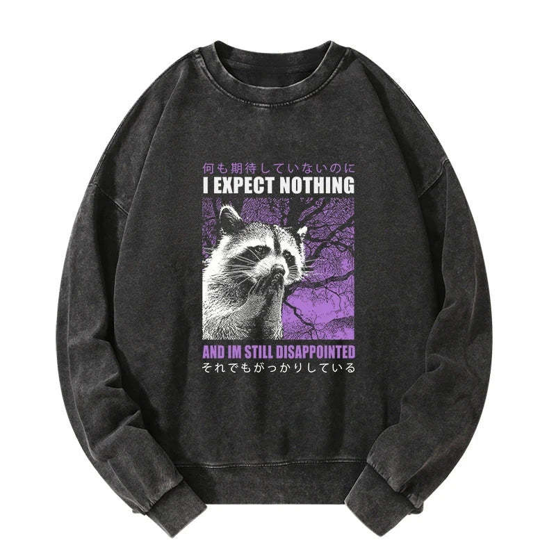 Tokyo-Lion Disappointed Raccoon Japanese Washed Sweatshirt-Tokyo-Lion